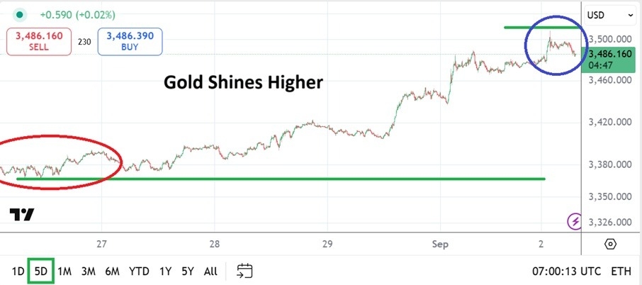 【XM Market Review】--Gold Analysis: Race Higher as Speculators Pile into Precious Metals(图1)